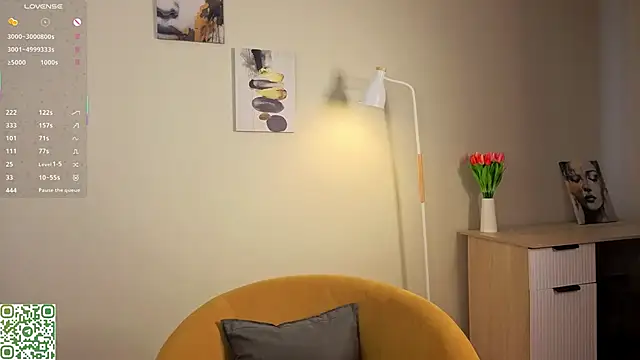 SilverBeste webcam