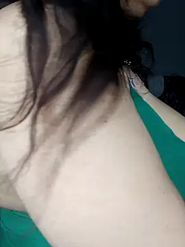 222-SHAGUN webcam