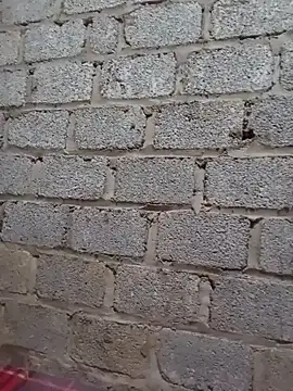 free sex chat Jienrrr