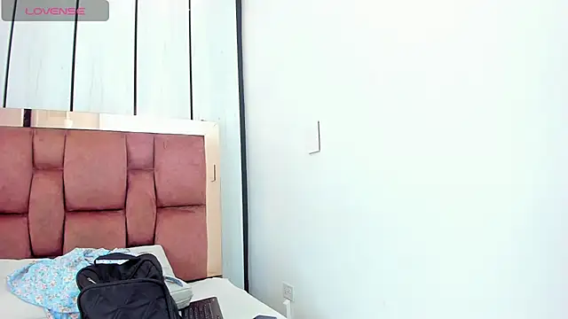 lis_rous webcam
