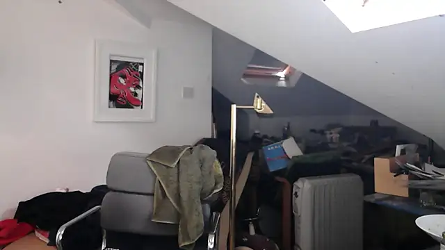 mista_sista_fista webcam