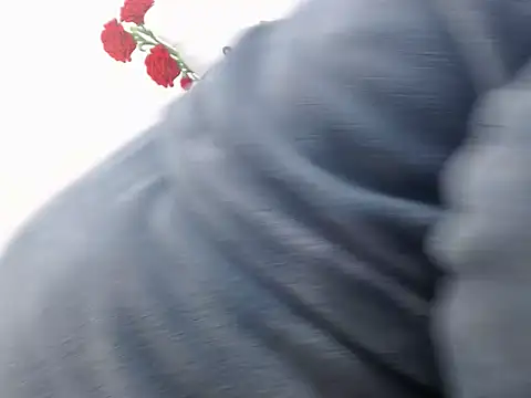 DarkChocolatex4 webcam