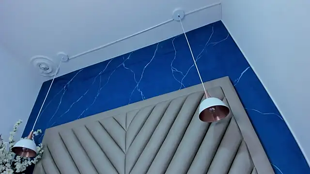 Ibbie_drastic webcam