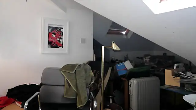 mista_sista_fista webcam