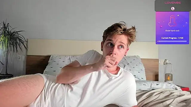 Shirizi webcam