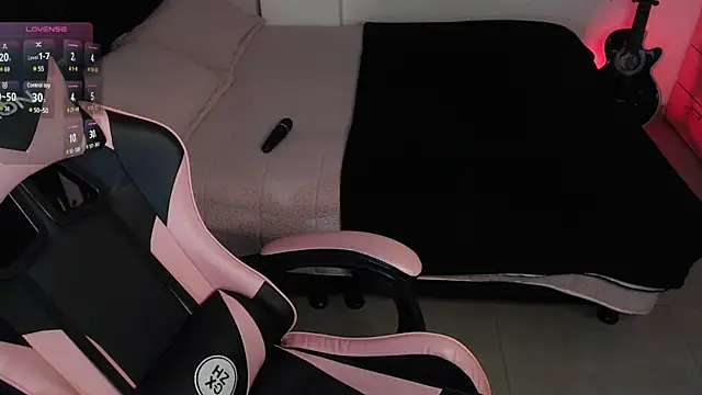 Theprojectsaraa webcam
