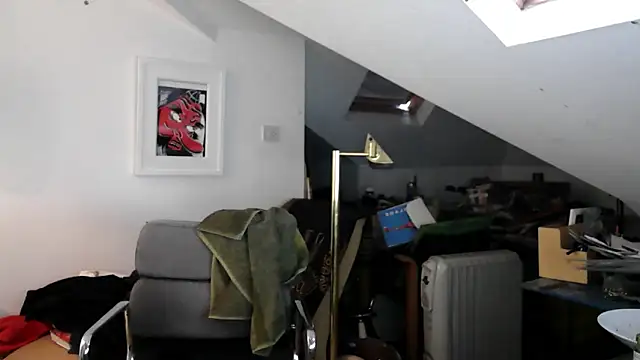 mista_sista_fista webcam