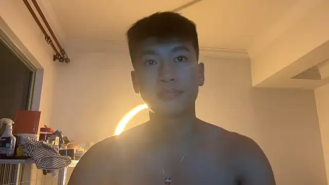 heywilliam webcam