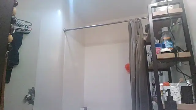 Antoniothedon webcam