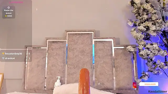 Kendallbleer webcam