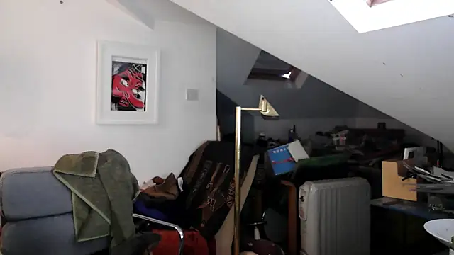 mista_sista_fista webcam