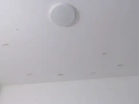 Taylorymax webcam