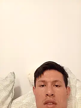 pajarics webcam
