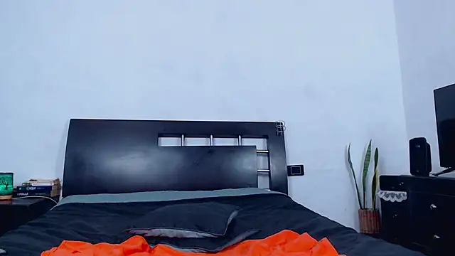 AikoTailor webcam