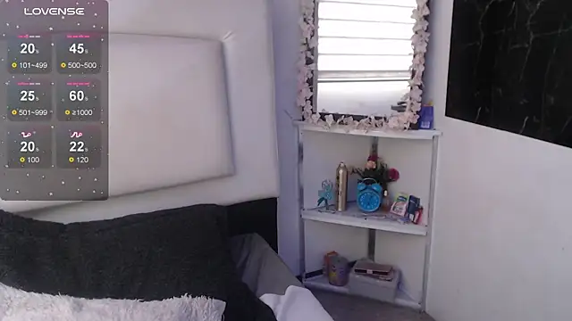 palmer_mIix webcam