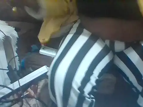 Momozana101 webcam