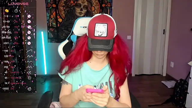 Project_hisoka webcam