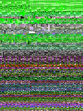 Sami_arabic webcam