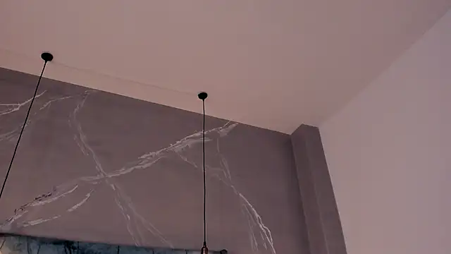 catalitsc webcam