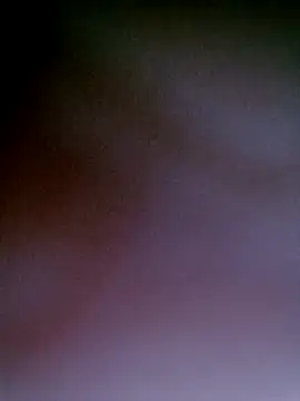 Beloved_trans webcam