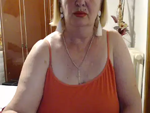 Secretfox webcam