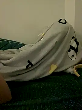 leisure_crime23 webcam