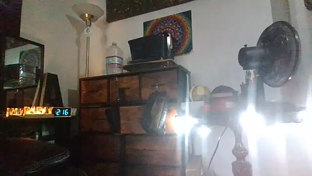 Antoniothedon webcam