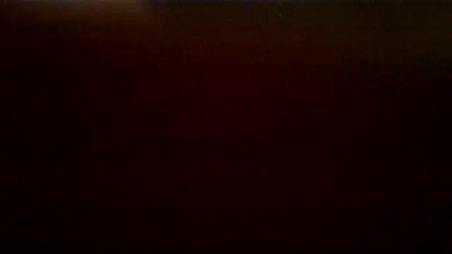 Ginger-bb webcam