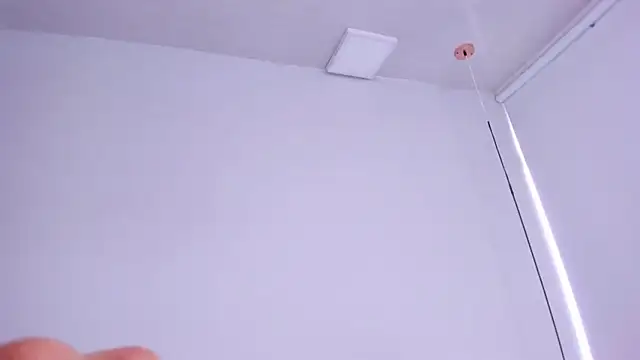 Cherllynn webcam