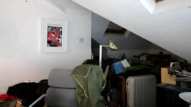 mista_sista_fista webcam