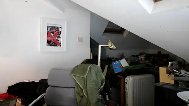 mista_sista_fista webcam