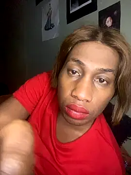 Moorella1 webcam