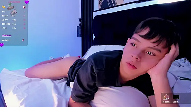 nico_leroy webcam