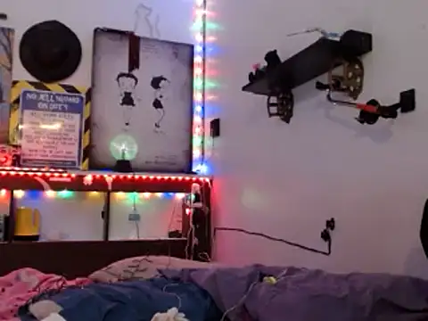 Buffshagswell webcam