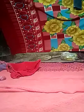 raju-ki-rani webcam