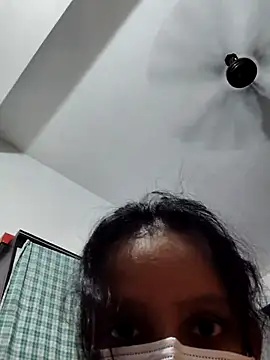 LARAfun webcam