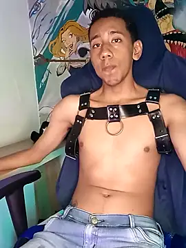 Lion_Dynamite webcam