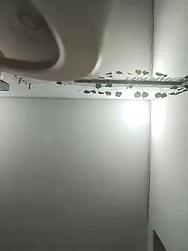 DannaDooll99 webcam