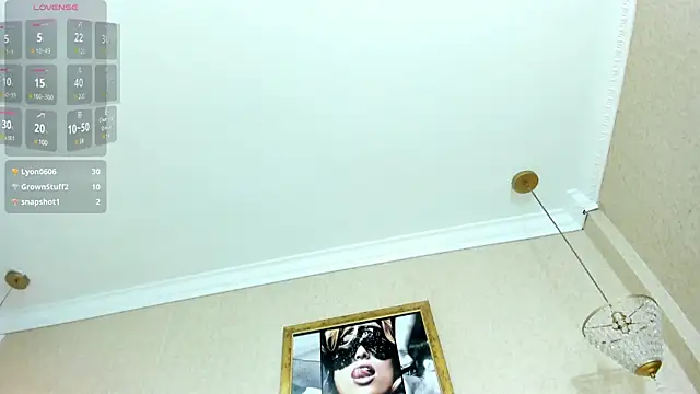 Genesisrayden webcam