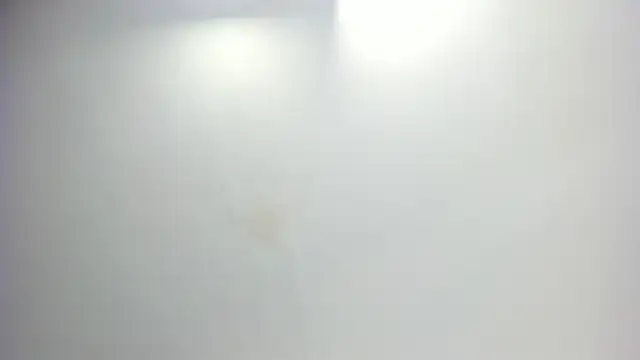 Sammy_Fox21