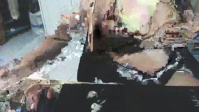 nefesimol webcam