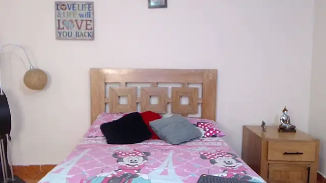 ValeSantoDomingo webcam