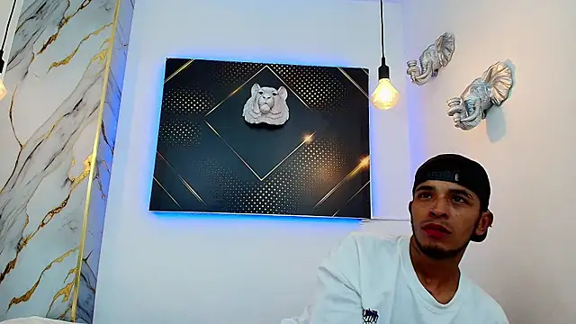 JordanAndAndrew webcam