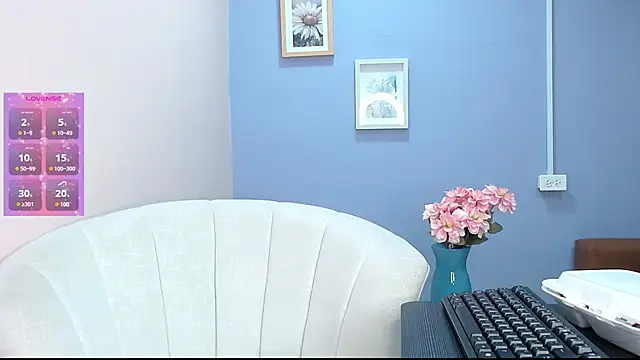 bellota_clio webcam