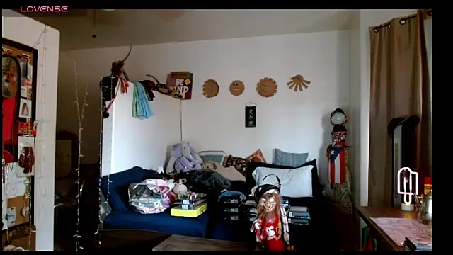 ibPMS webcam
