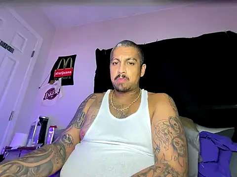 Vision1285 webcam