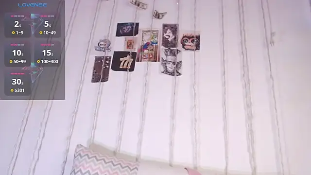 pamela_ webcam