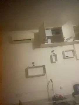 maialino2 webcam