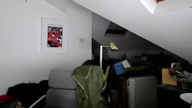 mista_sista_fista webcam