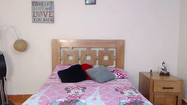 ValeSantoDomingo webcam